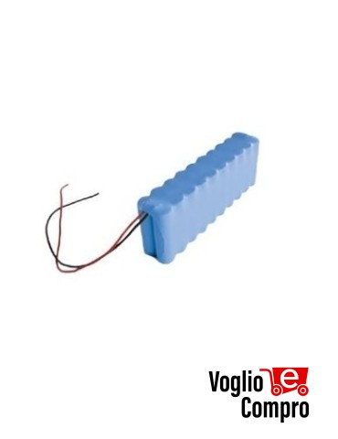 BATTERIA 24 V 1,3 Ah V2 161237 PER MOTORE ZORUS TORQ