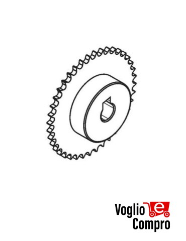 Pignone 1/2” Z40 FADINI MEC 200LB 2036L