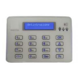 Centrale integrata con tastiera touch VIGILHOME24 microvideo Ricevente radio GSM