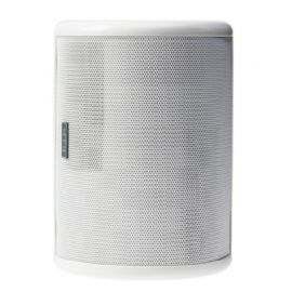 DIFFUSORE PARETE RTS 15W 16 Ohm HIBRYTECH DUAL COIL FULL RANGE COLORE BIANCO